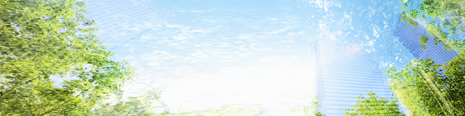 メインイメージ